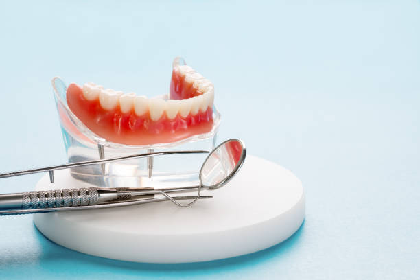 Professional Holistic Dental Care Services in Mabscott, WV